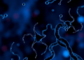 Exercise Leaves Distinct Protein Fingerprints in Blood That Track Memory Gains in Older Adults