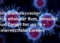 Tiny Stem Cell Vesicles Loaded with miR-124 Strike Dual Targets to Curb Colorectal Cancer