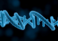 Genes and early treatment clues reveal which Graves' patients will defy standard therapy