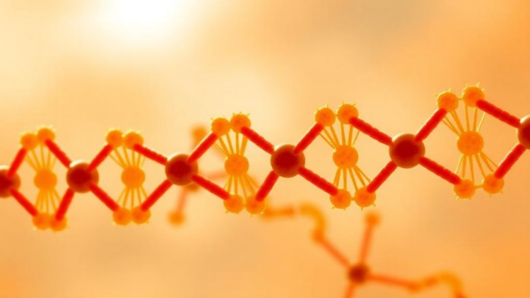 Purine Scaffold Powers a New Generation of Drug Candidates Across Cancer and Infectious Disease