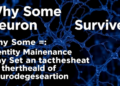 Why Some Neurons Survive: Identity Maintenance May Set the Threshold of Neurodegeneration