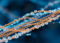 Magnetic fibers weave together medicine, clean water and smart textiles