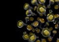 Tiny Radioactive Seeds Offer New Hope for Thyroid Cancer That Resists Iodine Therapy