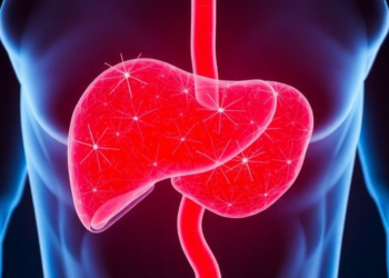 Scientists Uncover a Sugar-Burning Switch That Drives Liver Scarring