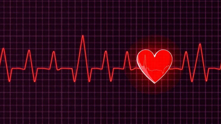 AI Reads Children's ECG Reports to Flag Hidden Heart Disease