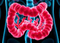 Gut Cancer Gene GLIS3 Found to Fuel Tumors Through a Vitamin B6 Enzyme and Autophagy