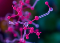 Antibody Sensors Race to Catch Pesticides and Fungal Toxins in Our Food