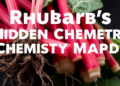 Rhubarb's Hidden Chemistry Mapped: Roots, Stalks and Microbes Reveal Harvest Secrets