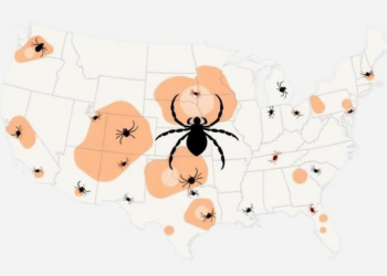 Mapping Where Lyme-Infected Ticks Lurk Across the Western United States