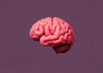 Moral Choices Run on Different Brain Wiring Than Everyday Perceptual Decisions