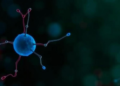 Stem Cell Models to Reveal Why Parkinson's Disease Hits Women Differently