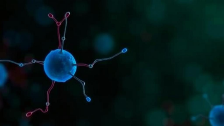 Stem Cell Models to Reveal Why Parkinson's Disease Hits Women Differently