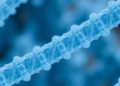 Housekeeping Gene cpn60 Emerges as a Powerful Marker for Profiling Living Microbial Communities