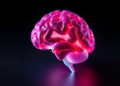 Lower-Dose Bevacizumab Matches Higher Dose for Brain Radiation Necrosis, Study Finds