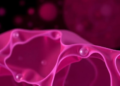 Sepsis May Leave Tissues Primed for Cancer, Review Argues