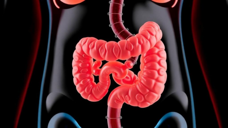 Gut Bacteria and Diet May Explain Why Obesity Sometimes Boosts Cancer Immunotherapy