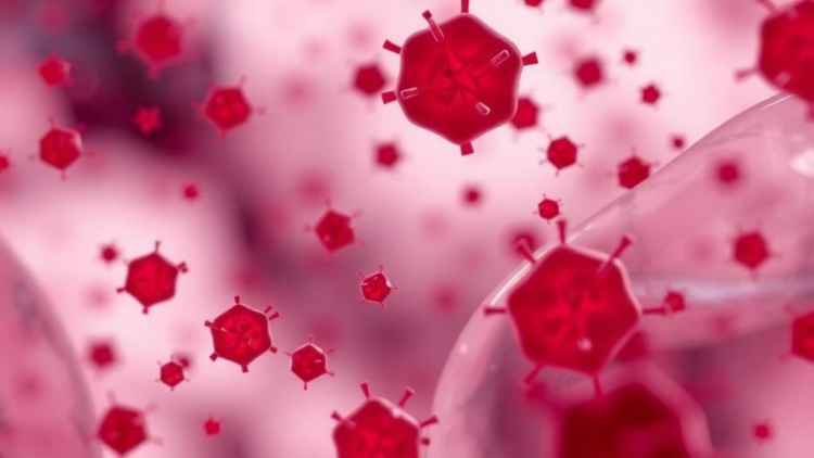 Blood Metabolites Reveal a Prognostic Fingerprint for Cervical Cancer