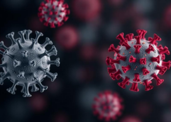Antibody Wanes at Different Speeds Across Ages After COVID-19, Large Cohort Shows