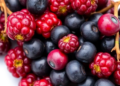 Ancient Ayurvedic Berry Yields Potent Antioxidant Through Faster, Cheaper Lab Route