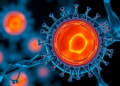 Scientists Wrap Mitochondria in Protective Nanomaterials Without Halting Their Energy Production