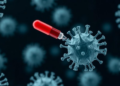 Transient Dynamics Reveal Hidden Weaknesses in Standard Antibiotic Testing