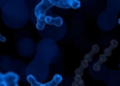 MOTS-c: The Tiny Mitochondrial Peptide That Behaves Differently in Health and Cancer