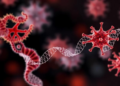 Hidden World of Commensal Anelloviruses Mapped in Unprecedented Genomic Detail
