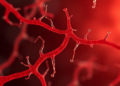 Tiny Mitochondrial Peptide MOTS-c Shields Retinal Blood Vessels From Diabetes Damage