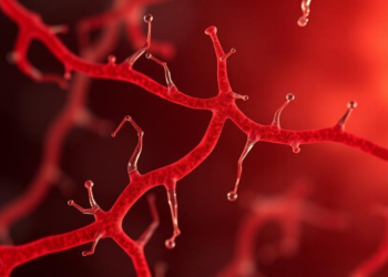 Tiny Mitochondrial Peptide MOTS-c Shields Retinal Blood Vessels From Diabetes Damage