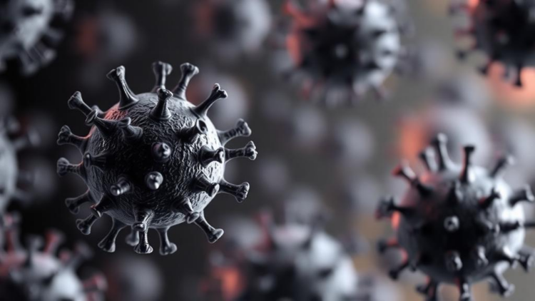 Antibodies Fade Fast: Malawi Study Maps Hidden Waves of COVID-19 Infection