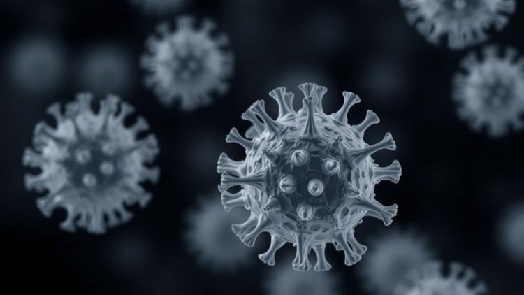 Whole-Genome Sequencing Tracks Influenza H1N1 Drift in Iran and Backs Current Vaccine Strain