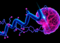 Chaperonin Protein CCT2 Emerges as Key Driver of Aggressive Head and Neck Cancer and Cisplatin Resistance