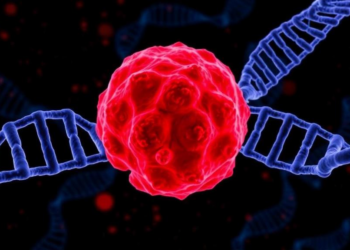 Melanoma's Deadly Shift: DNA Methylation Rewrites the Tumor as It Spreads