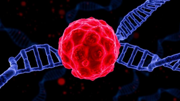 Melanoma's Deadly Shift: DNA Methylation Rewrites the Tumor as It Spreads