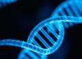 RNA Cap Modification Emerges as a Switch That Governs Tumor Response to Radiotherapy