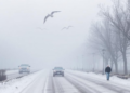 Air Pollution and Cold Team Up to Sharply Raise Heart Death Risk, Major Study Finds