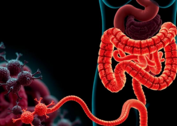 Gut Microbe and Its Fatty Acid Break the Inflammatory Loop That Drives Obesity
