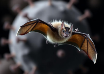 Conserved Spike Epitopes Yield Antibodies That Neutralize Diverse Bat Sarbecoviruses