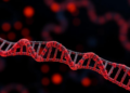 AI Decodes the Hidden Grammar of the Genome's Master Organizer CTCF