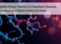 Hidden Protein Interface in Potassium Channels Revealed as a Master Switch for Sleep