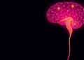 180 Early-Career Scientists Win $12.5 Million in Grants to Tackle Mental Illness