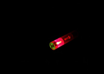 Why Metal Ions Make Fluorescent Probes Glow or Go Dark: New Design Rules Emerge