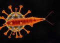 Parasitic Worm Infection Blunts T Cell Responses to SARS-CoV-2, Gabon Study Finds