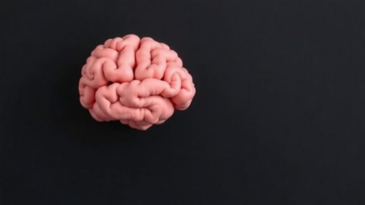 Exercise That Challenges the Brain Beats Simple Workouts for Early Memory Loss