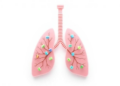 Tiny Cellular Shuttles Drive Aging in Chronic Lung Disease, Review Finds