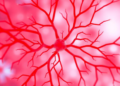 Diabetes Subtypes Leave Distinct Fingerprints in the Cornea's Hidden Nerve Web