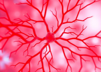 Diabetes Subtypes Leave Distinct Fingerprints in the Cornea's Hidden Nerve Web