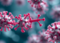 Superbug With Multiple Carbapenemases Shows Genomic Diversity but New Drug Combinations Hold the Line