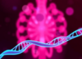 Immune Gene Profiles Linked to Higher EBV DNA Levels in Nasopharyngeal Cancer