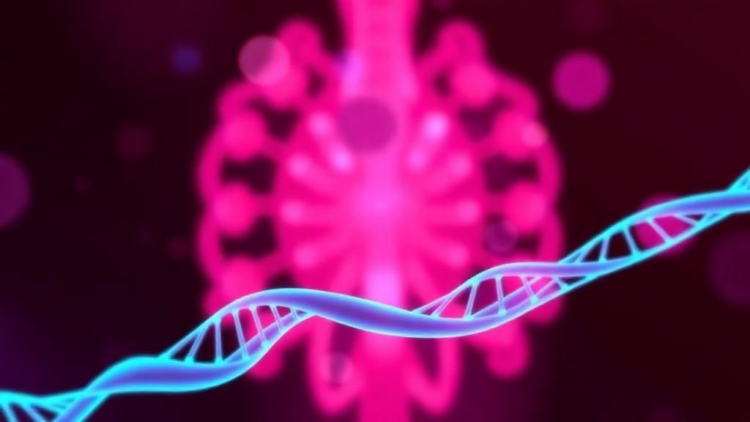 Immune Gene Profiles Linked to Higher EBV DNA Levels in Nasopharyngeal Cancer